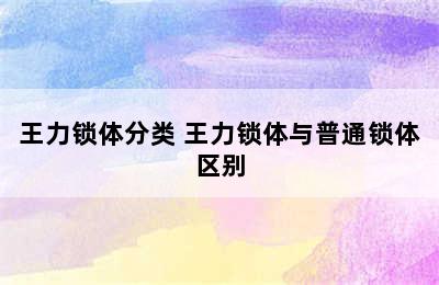 王力锁体分类 王力锁体与普通锁体区别